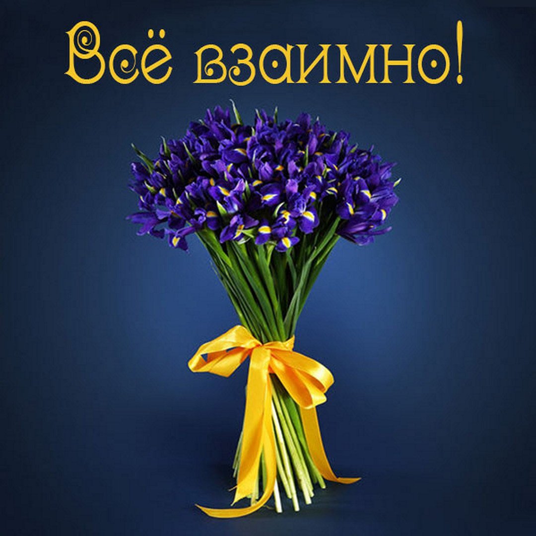 Спасибо за поздравления