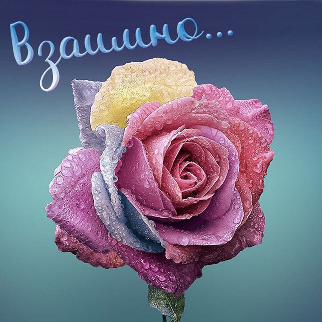 Взаимно картинки очень красивые