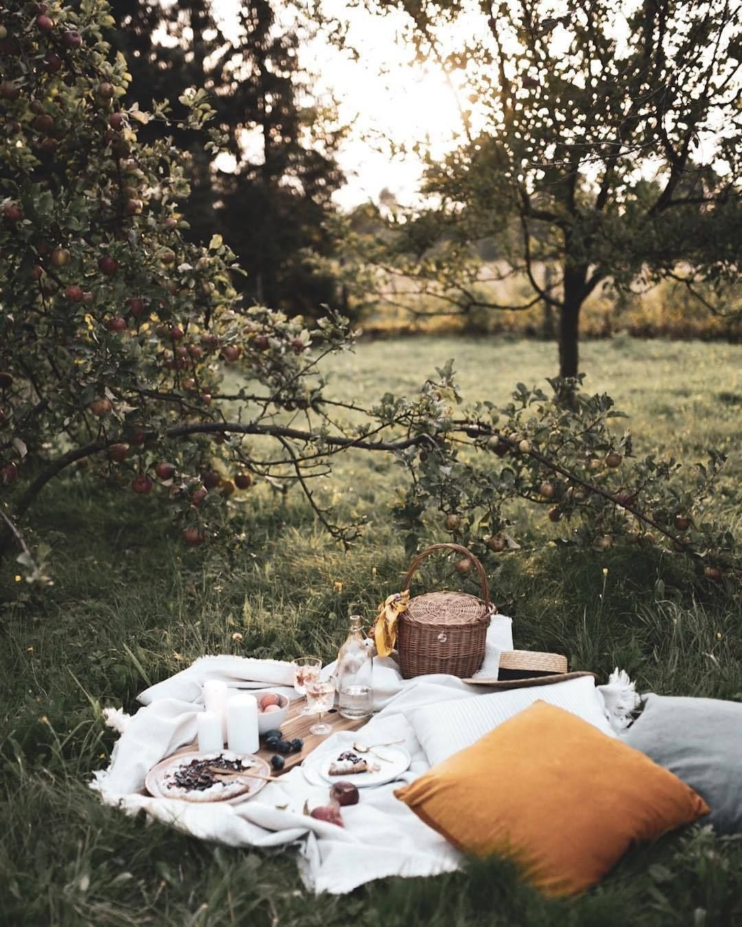 Эстетика паикнь в лесу