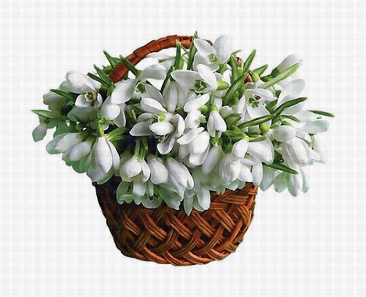 Подснежники в корзинке картинки для детей