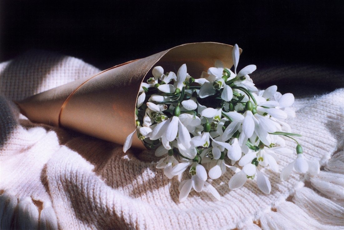 Весенний букет подснежников