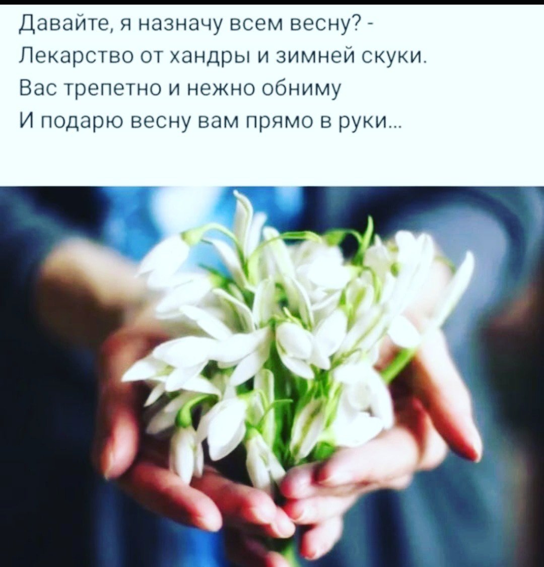 Букет подснежников картинки красивые