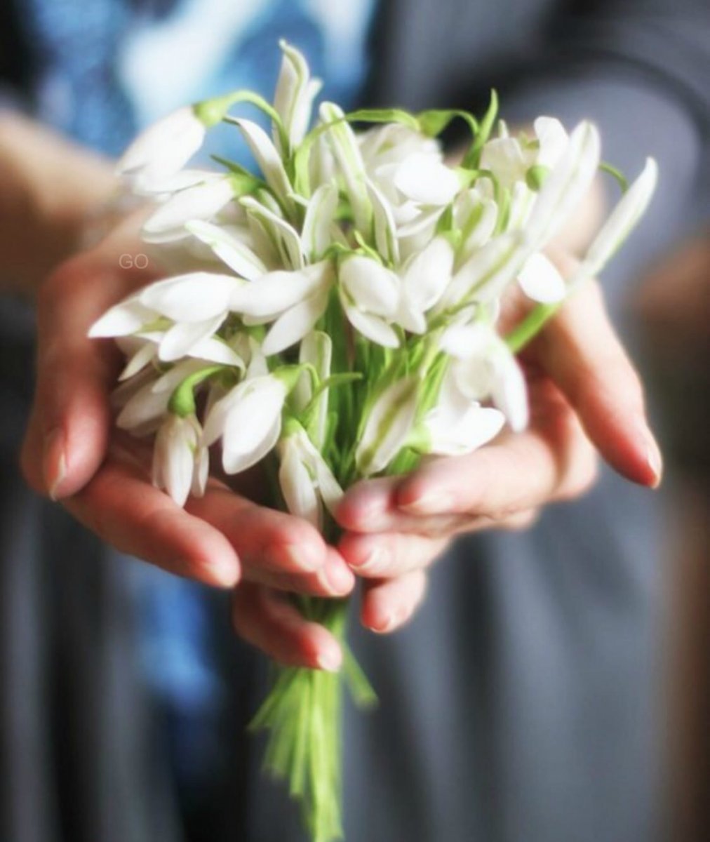 Украсить окно подснежники в горшках