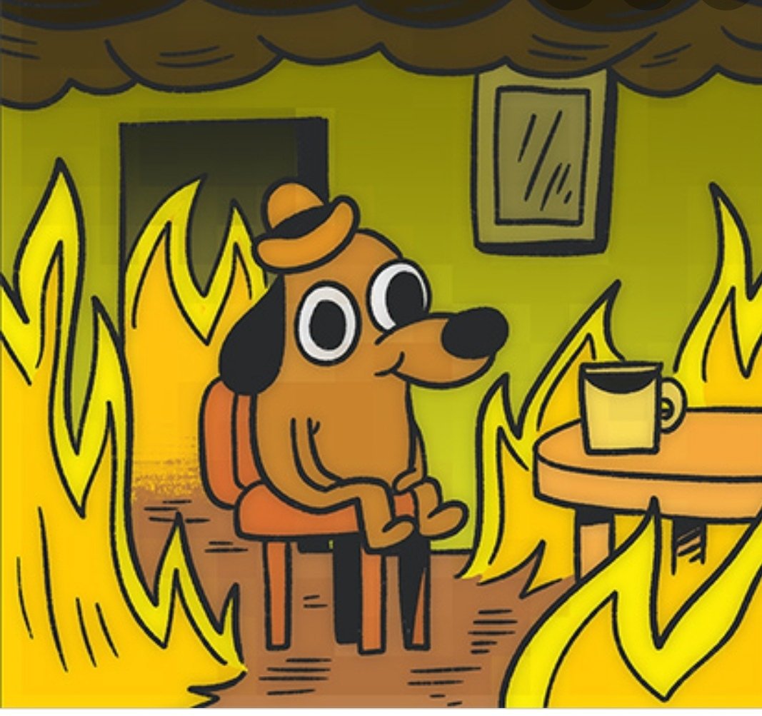 Собака в горящей комнате