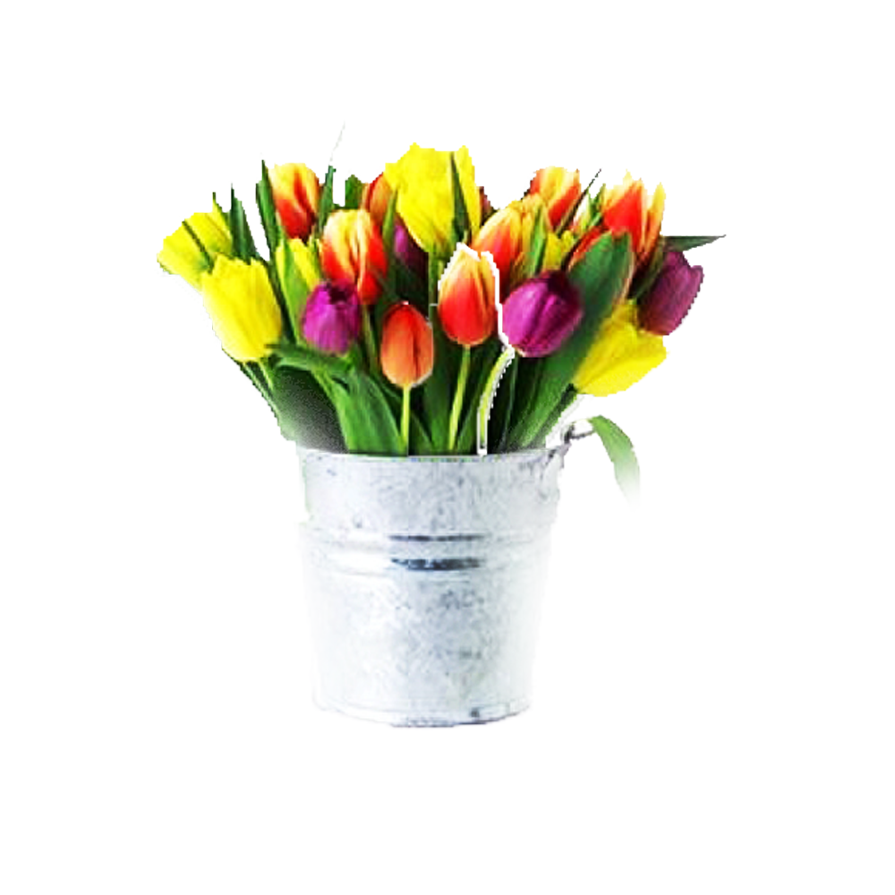 Букет тюльпанов в ведре