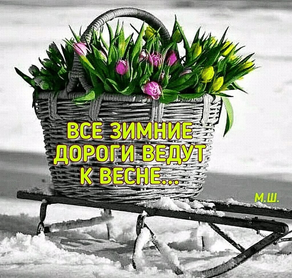 Доброго весеннего дня