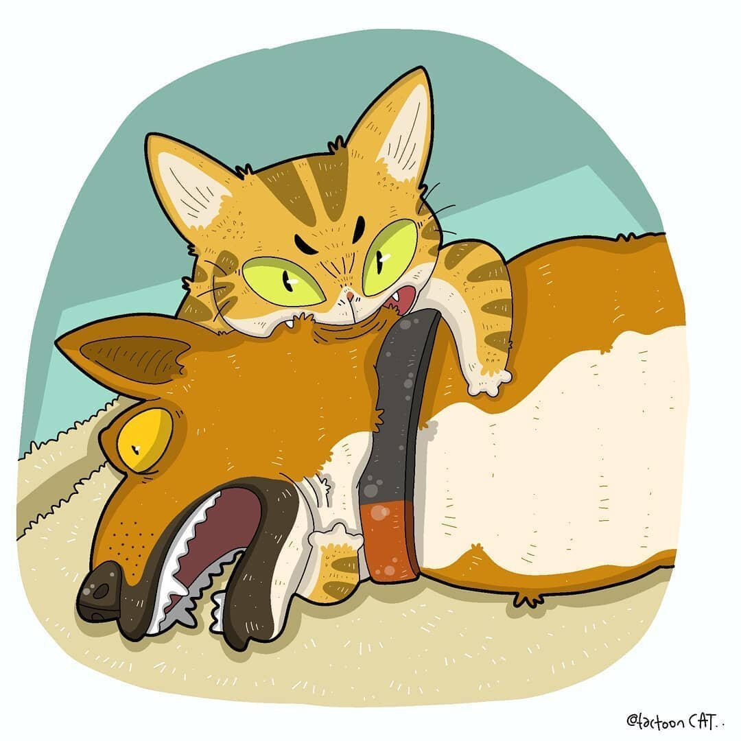 Картун Кэт хуманизация