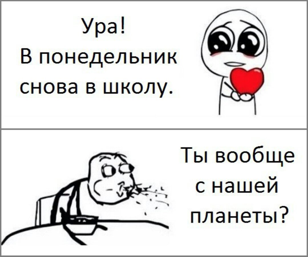 Здравствуй школа