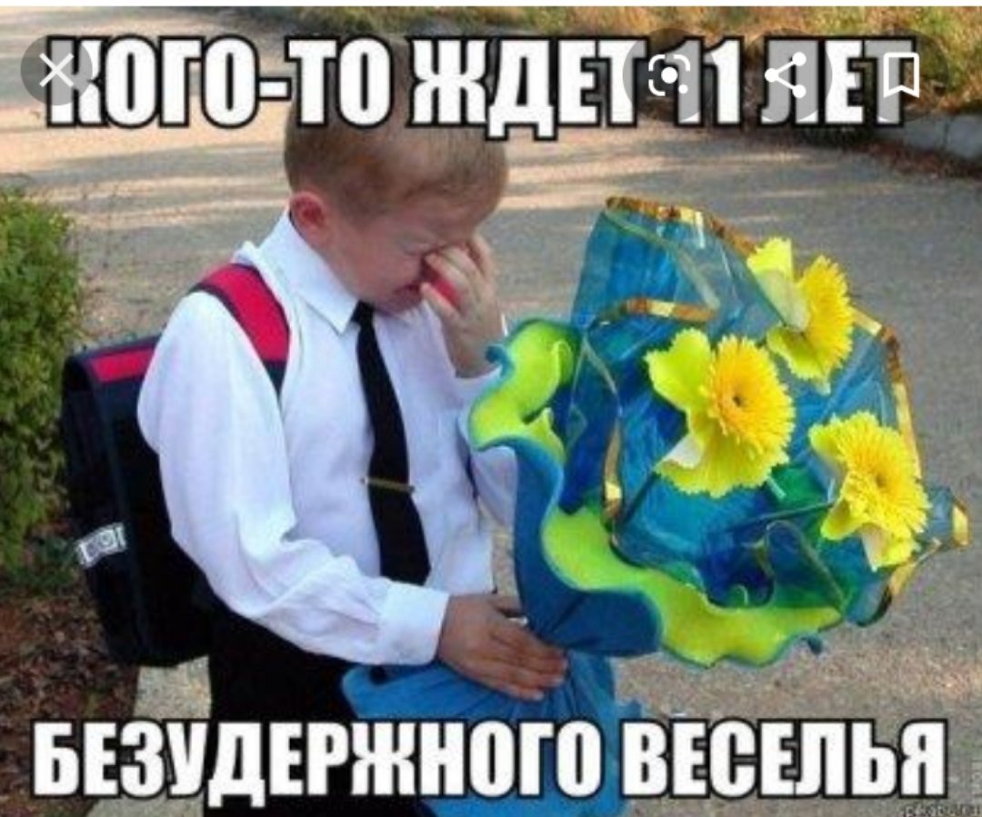 Скоро 1 сентября приколы