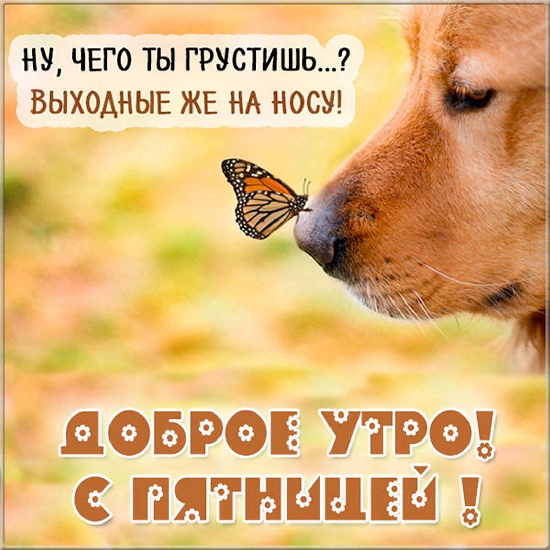 Доброе утро пятницы