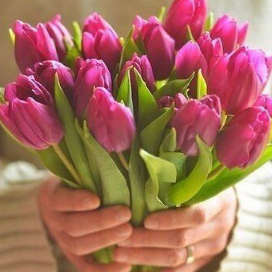 Огромный букет красных тюльпанов