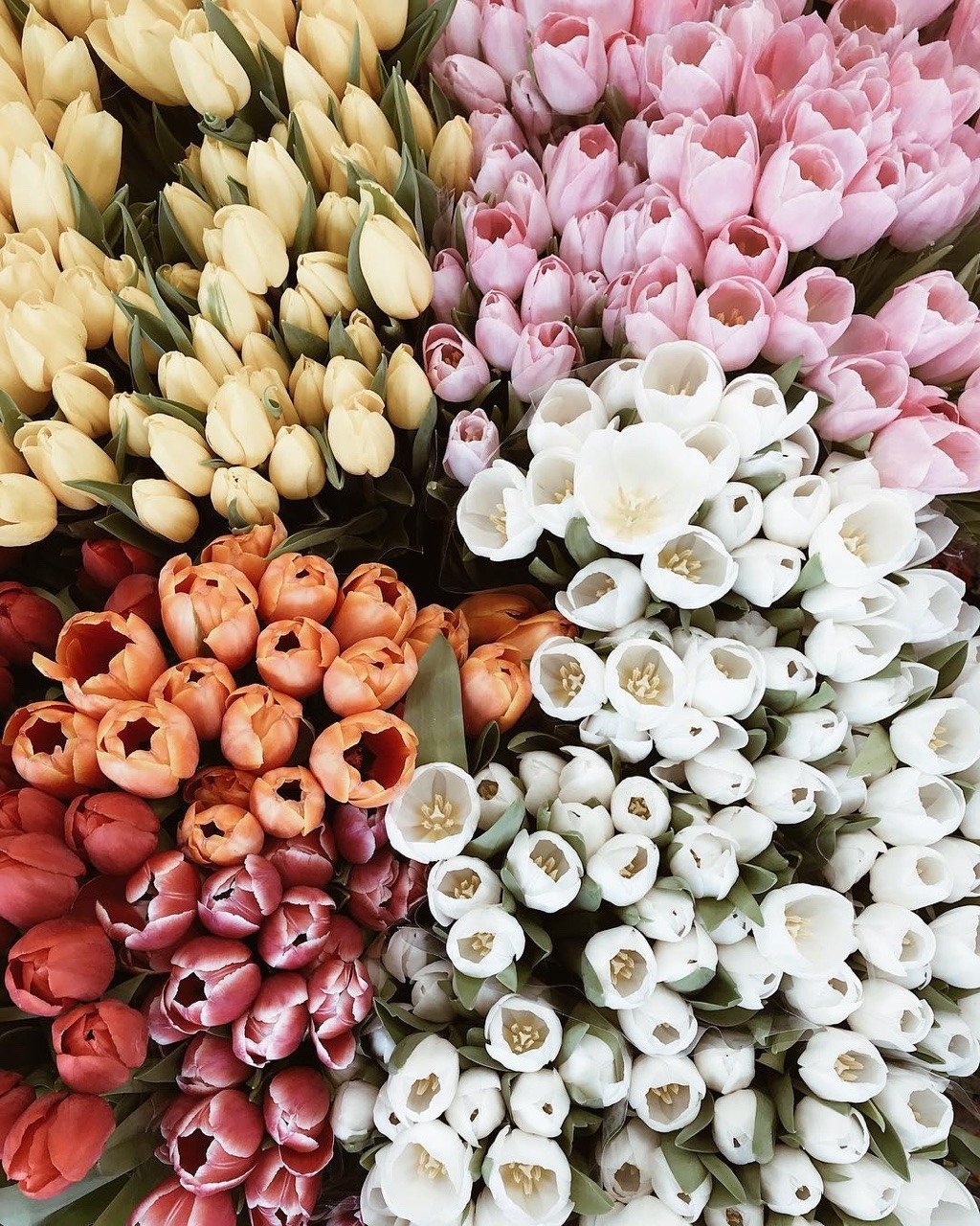 Охапка цветов