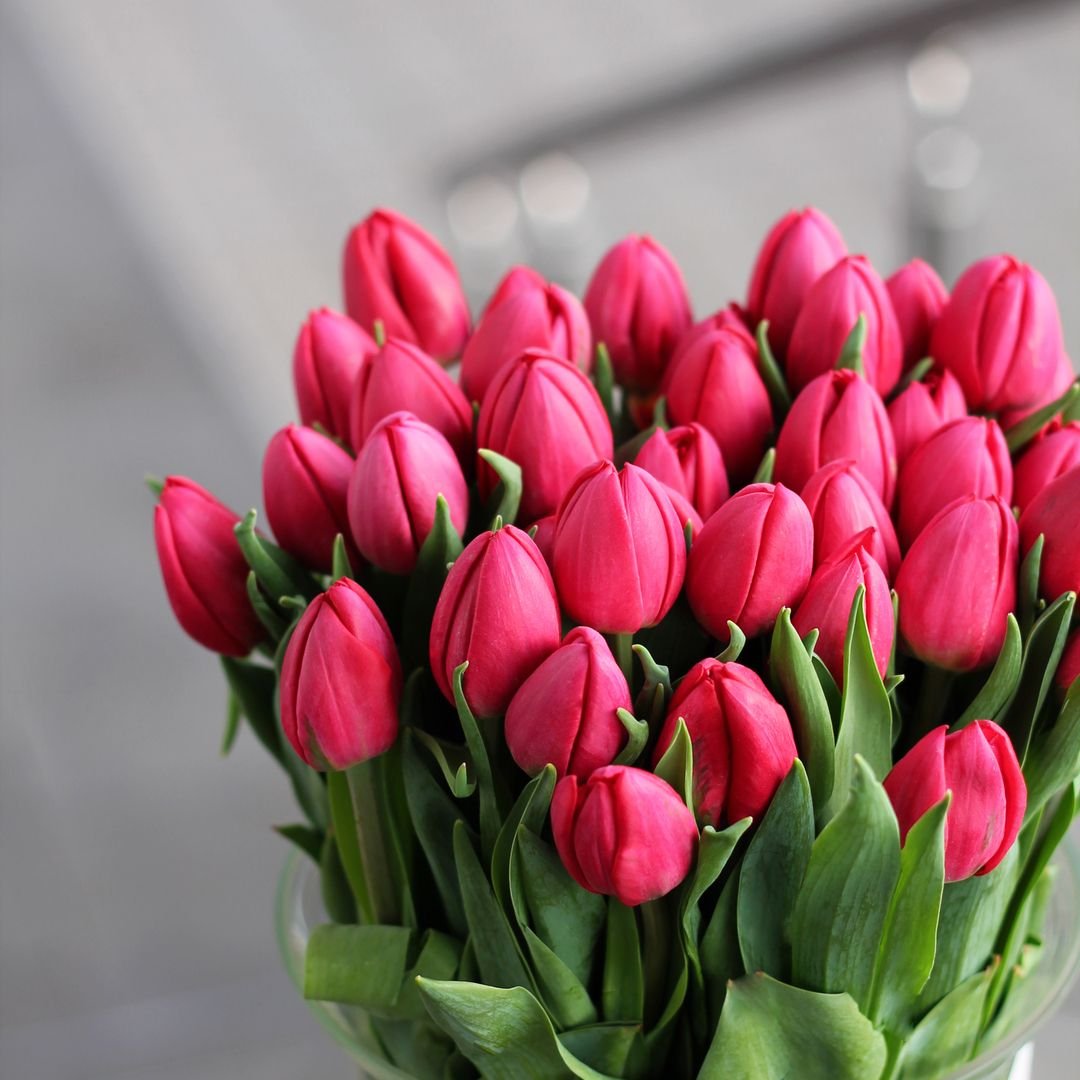 Охапка цветов тюльпаны