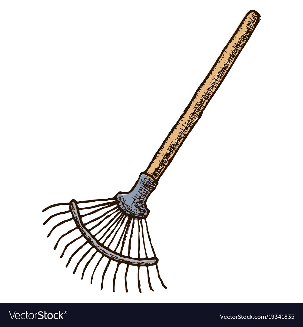 Грабли ЗУБР садовые с черенком 10 прямых зубцов 4-39581-12