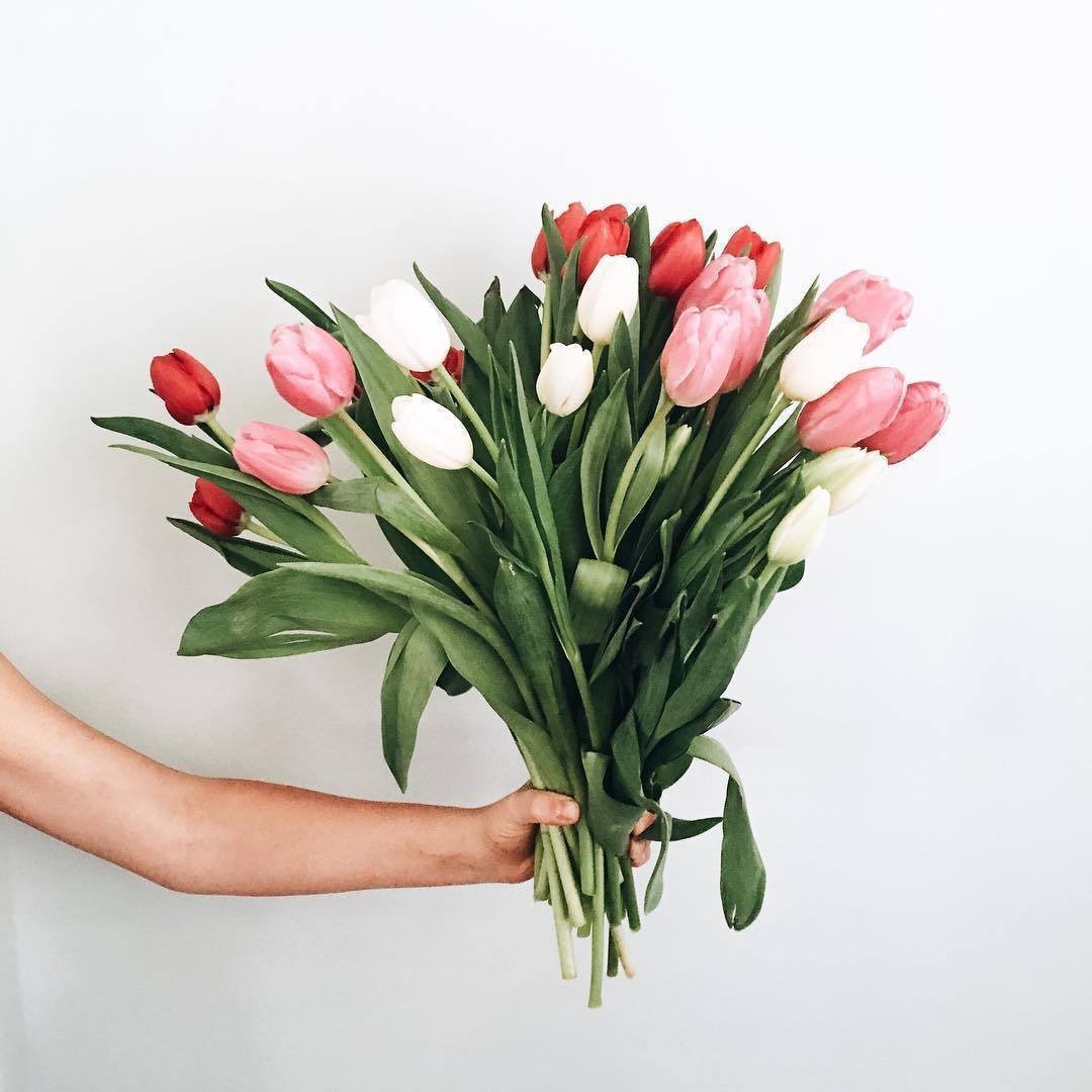 Тюльпаны срезка