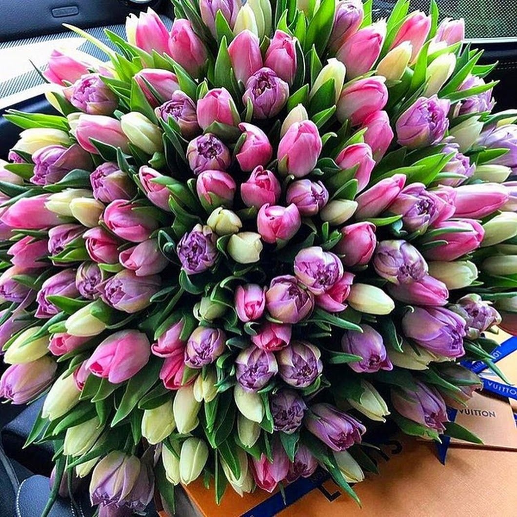 Красивые тюльпаны