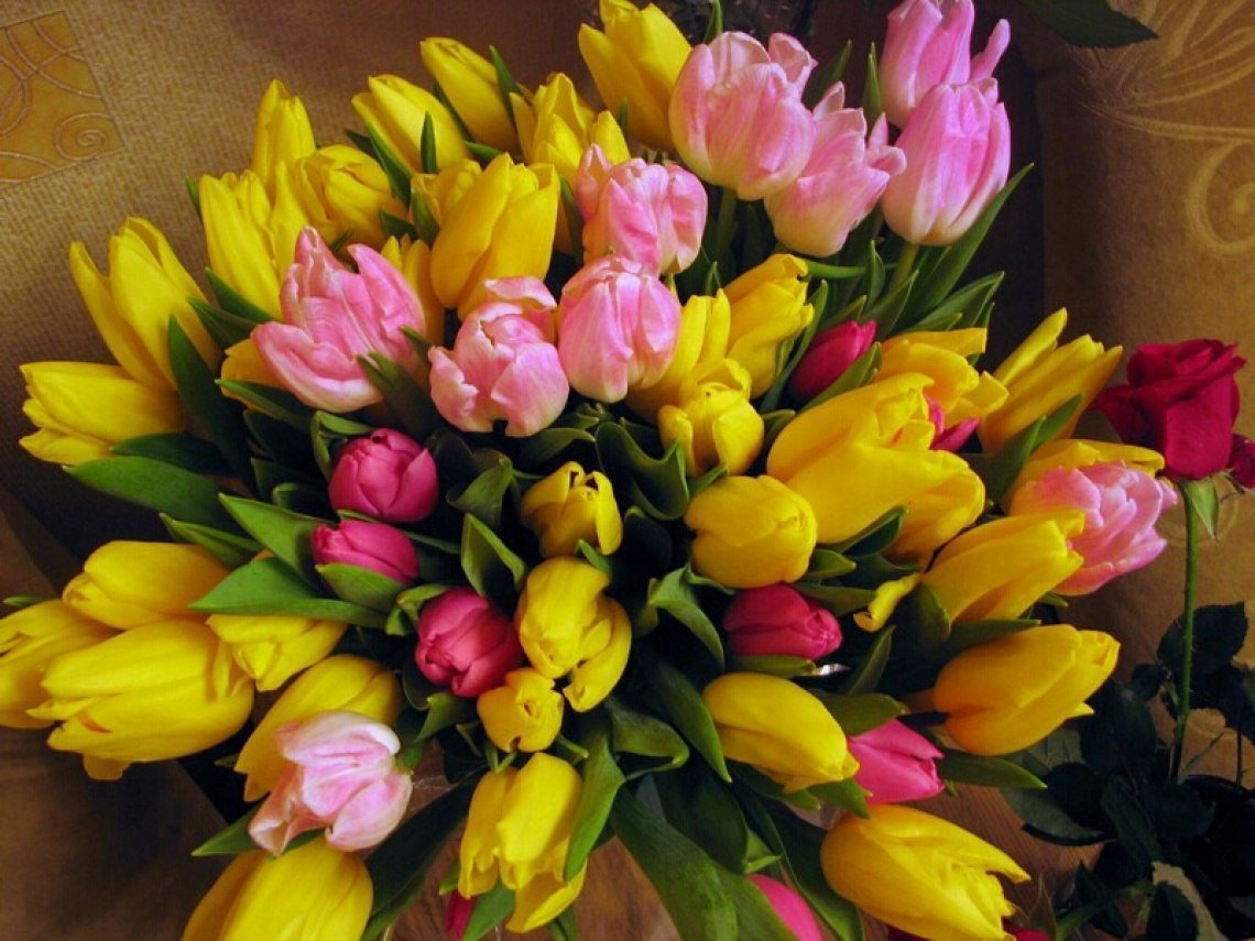 Самый большой букет тюльпанов