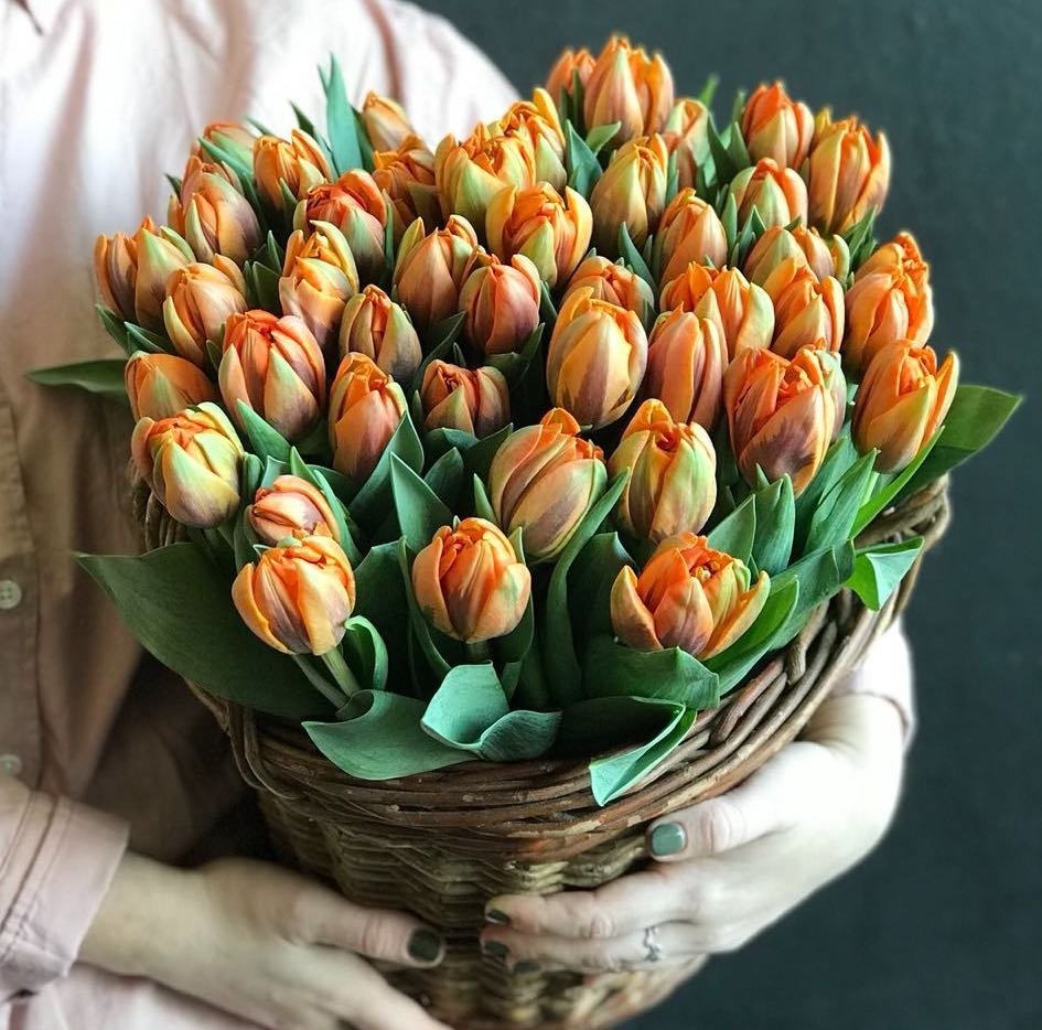 Охапка тюльпанов картинки