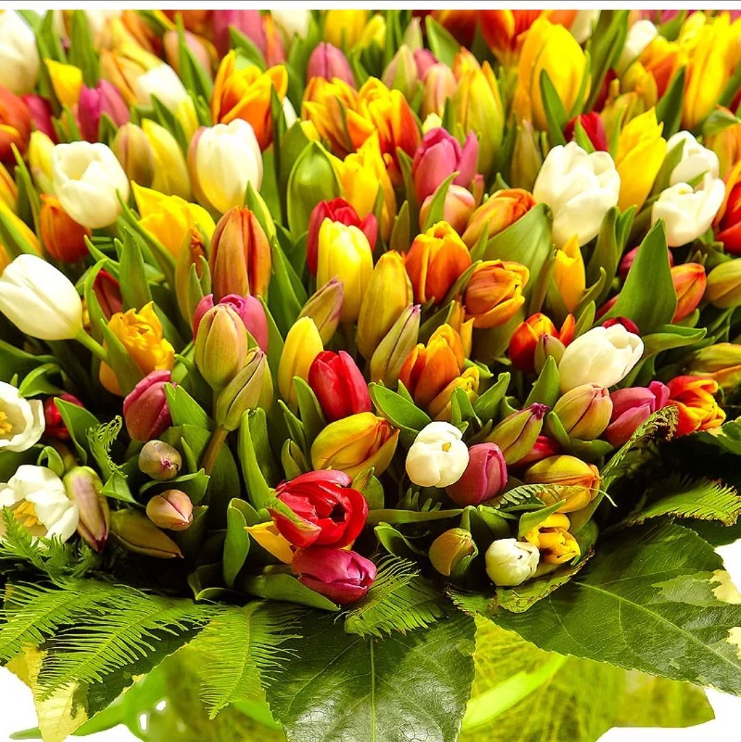 Букет желтых тюльпанов