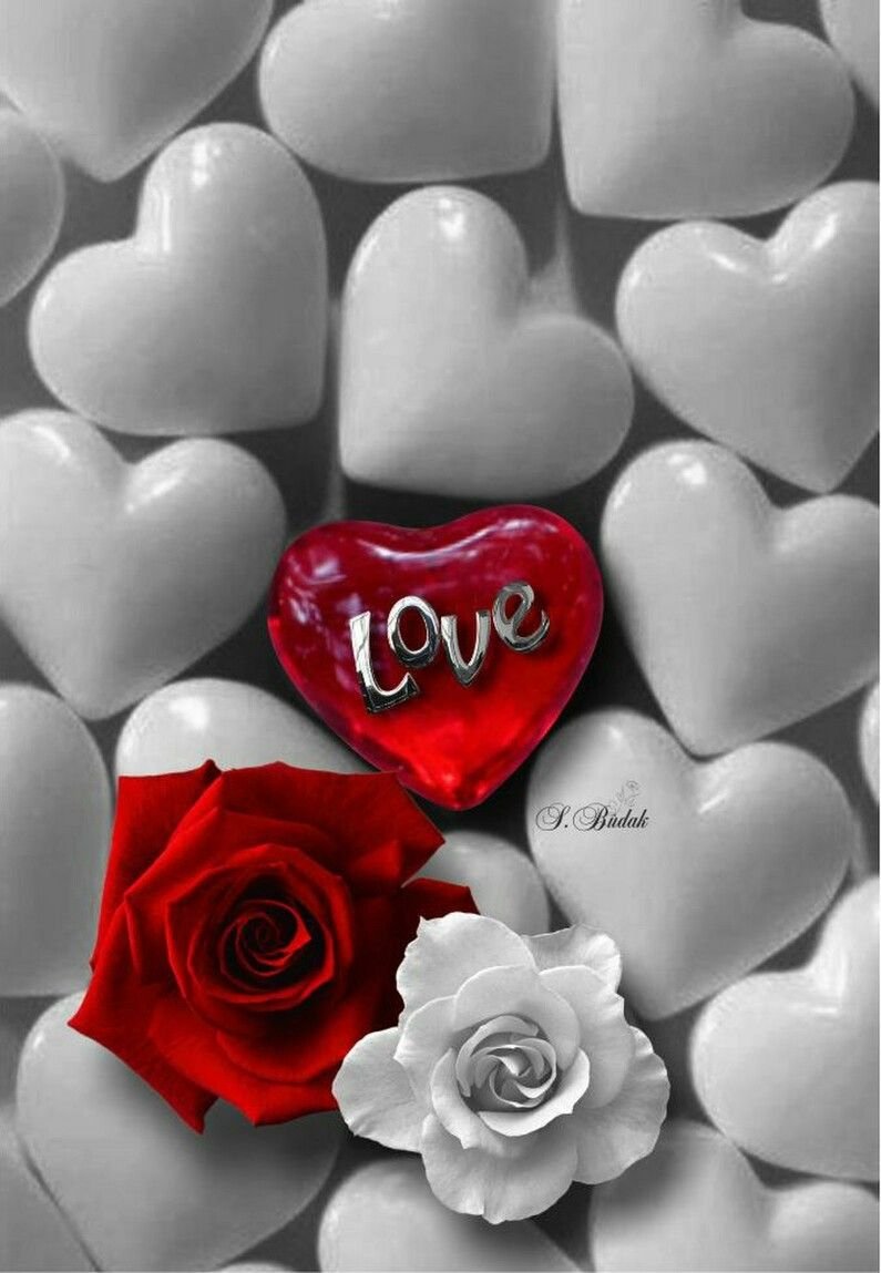 Сердце в природе