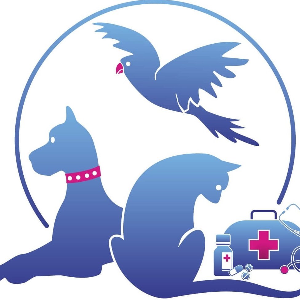 Ветеринар мультяшный