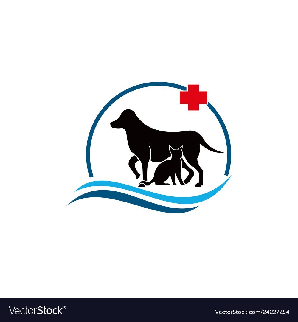 Мультяшные ветеринары