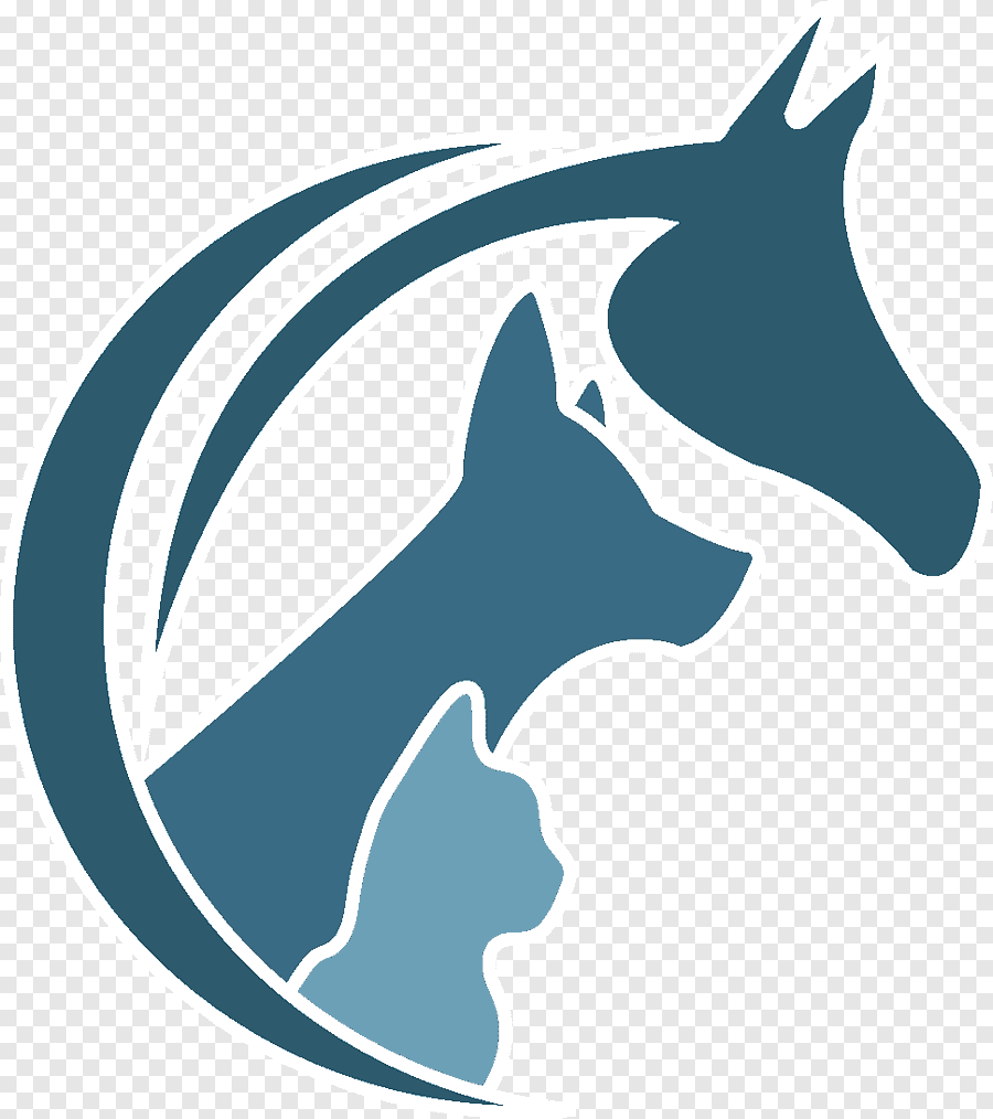 Ветеринар рисунок