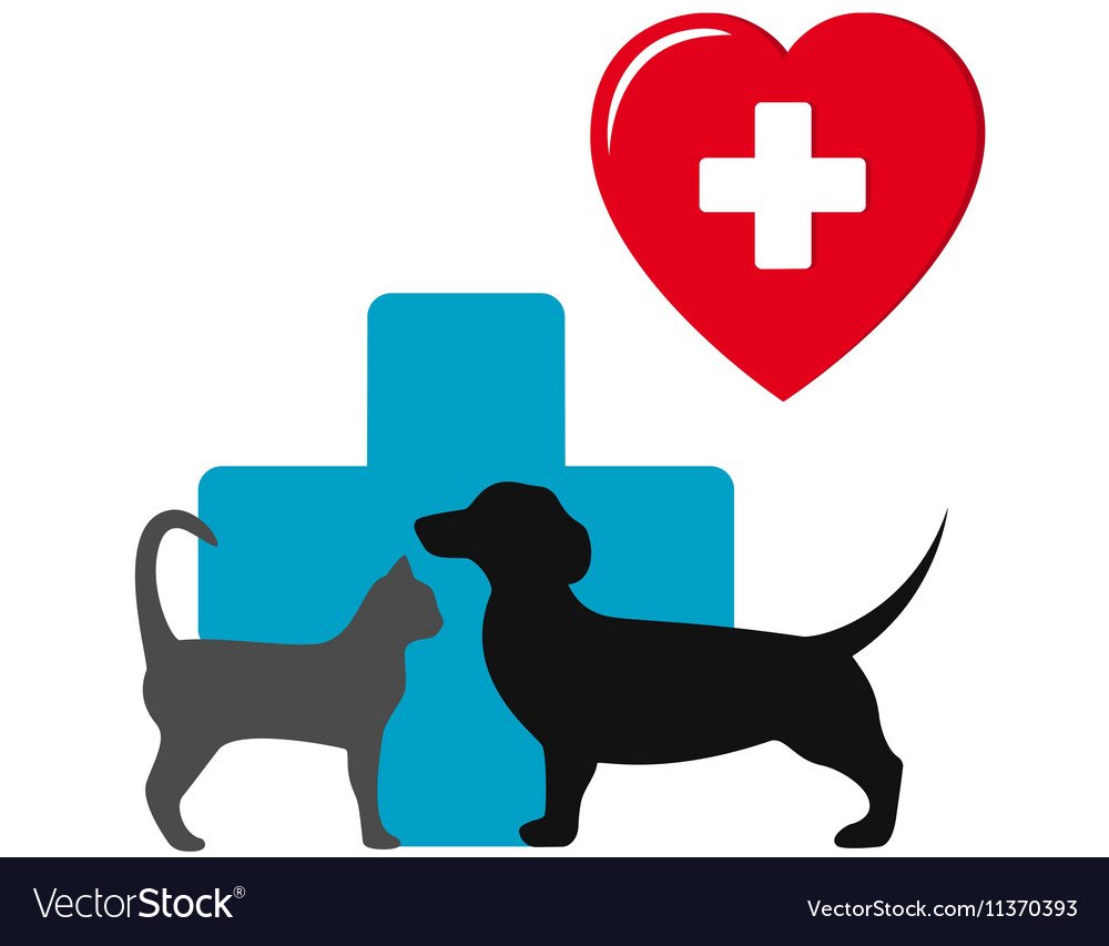 Ветеринар арты Эстетика