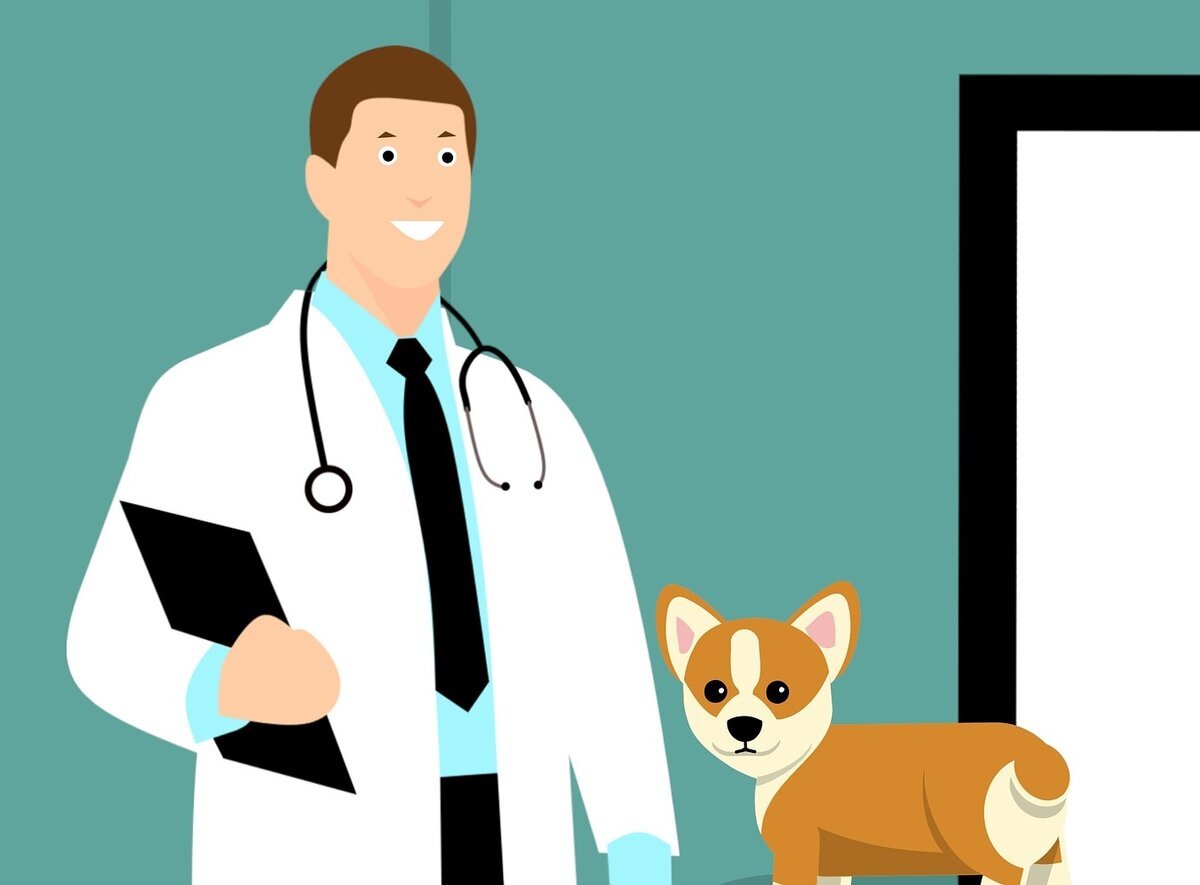 Ветеринарная клиника фон