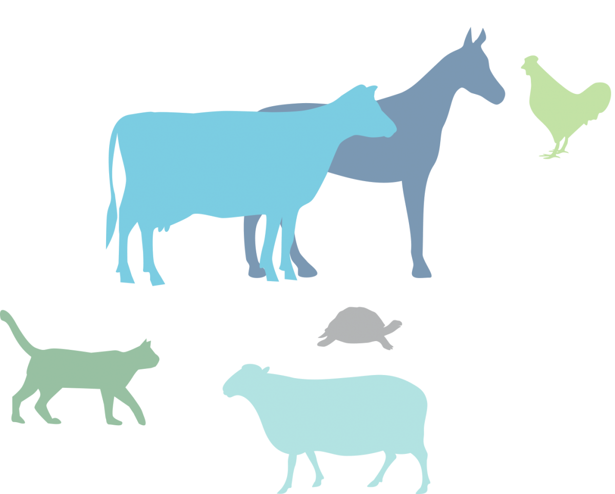 Ветеринария логотип