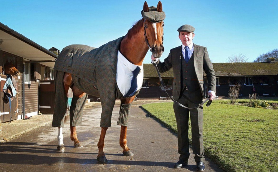 Конь в шляпе