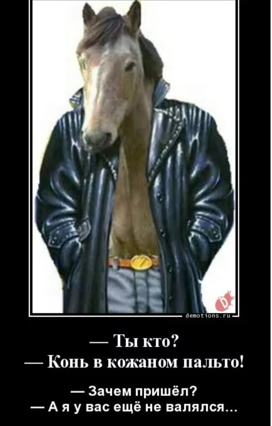 Стикеры БОДЖЕК