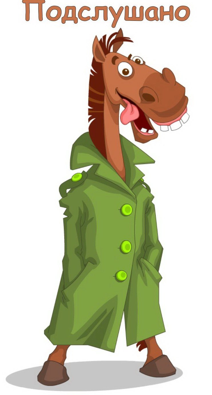 Кобыла в пальто