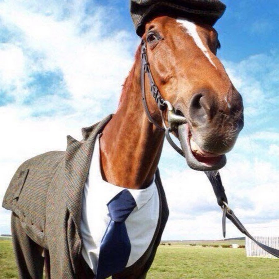 Дед Пихто и конь в пальто