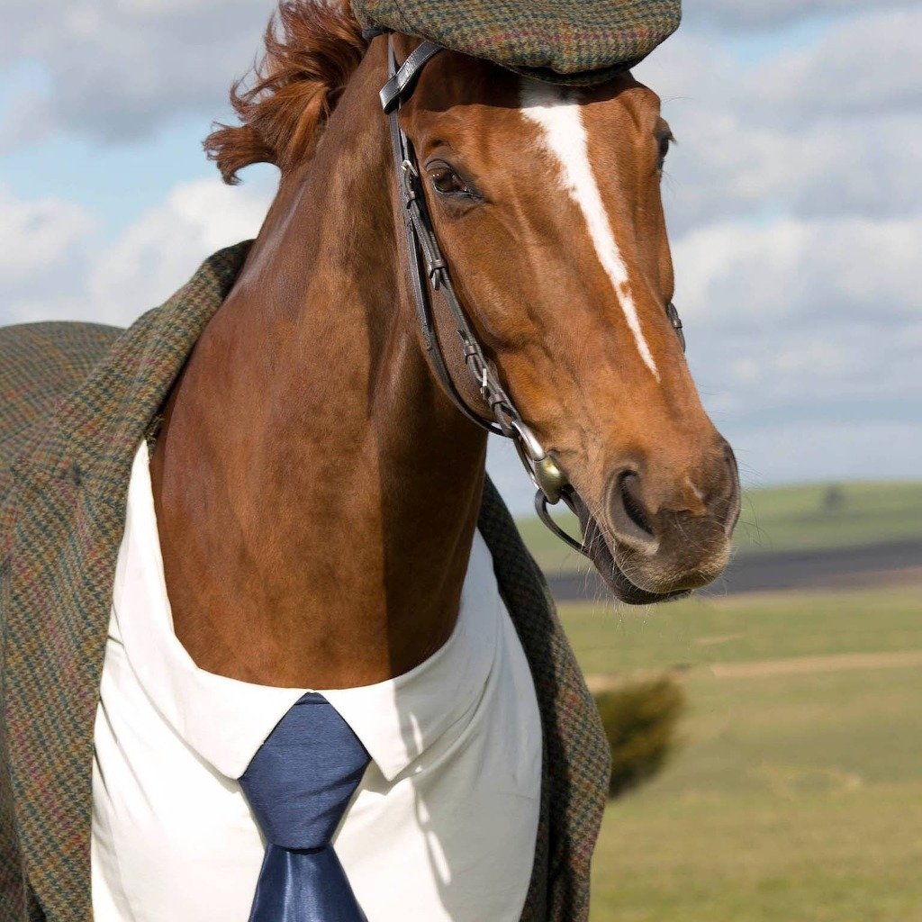 Лошадь в шляпе