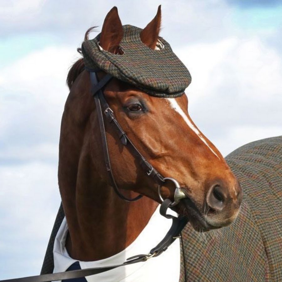 Конь в пальто