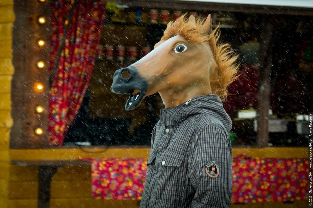 Конь в пальто с пивом