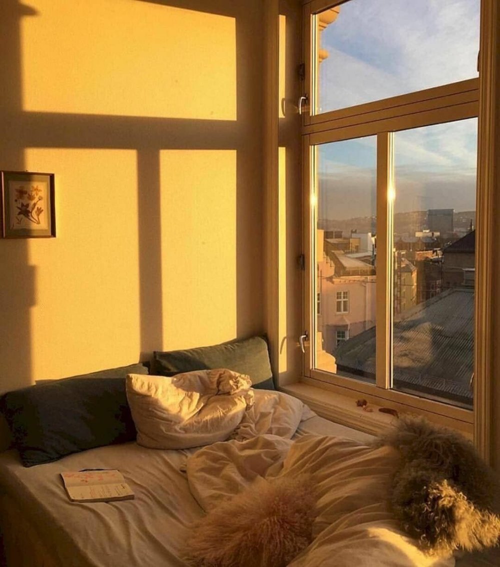 Солнце из окна