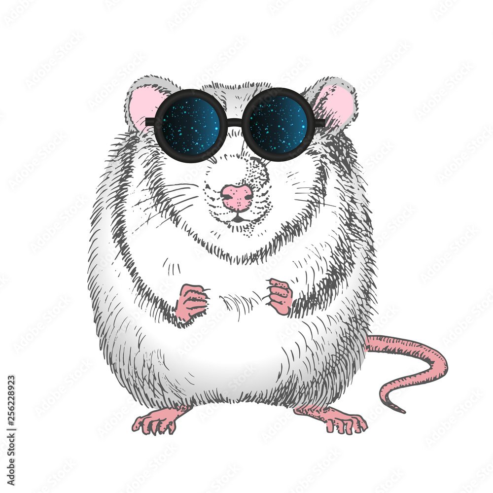 Крутая крыса в очках