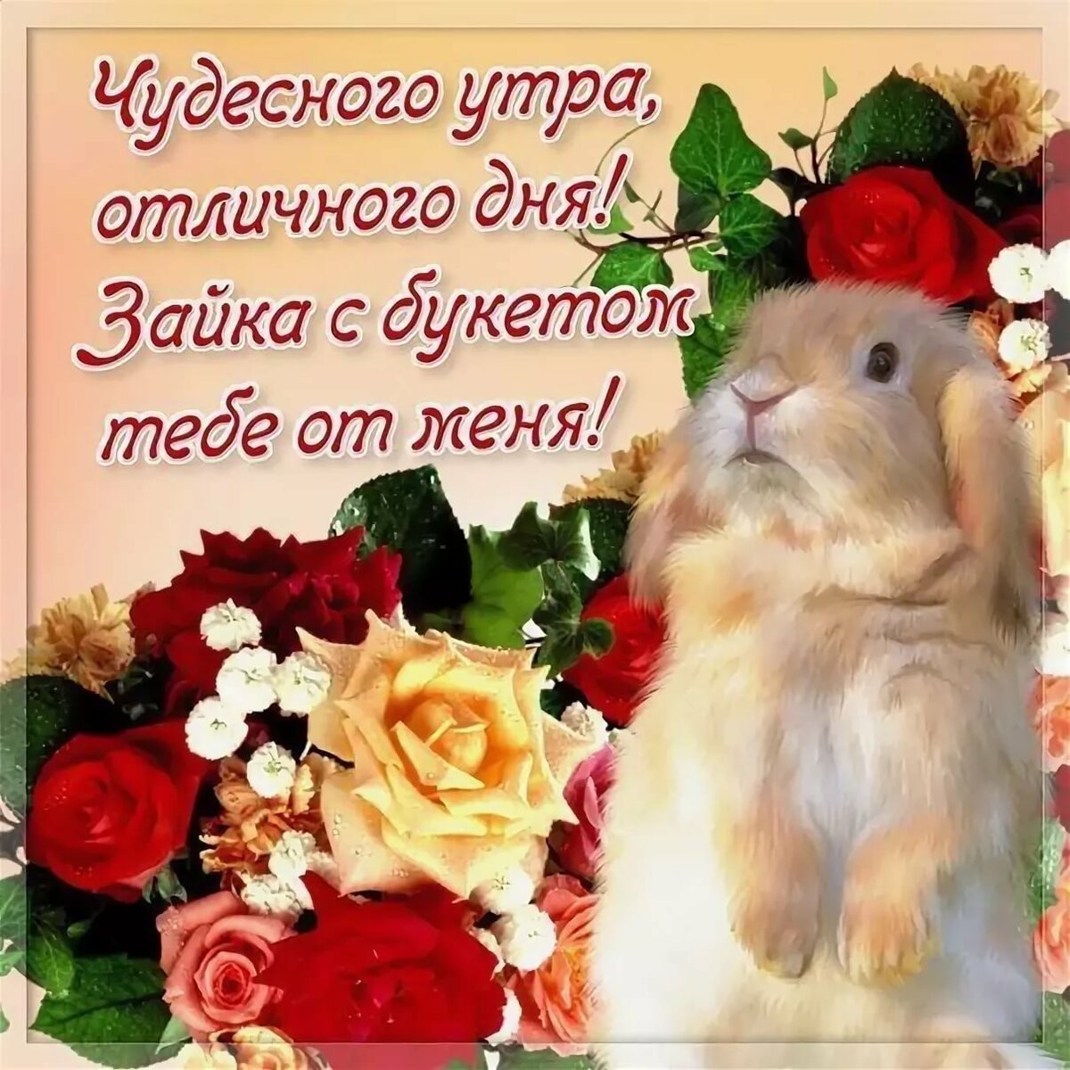 Хорошего дня хорошему человеку