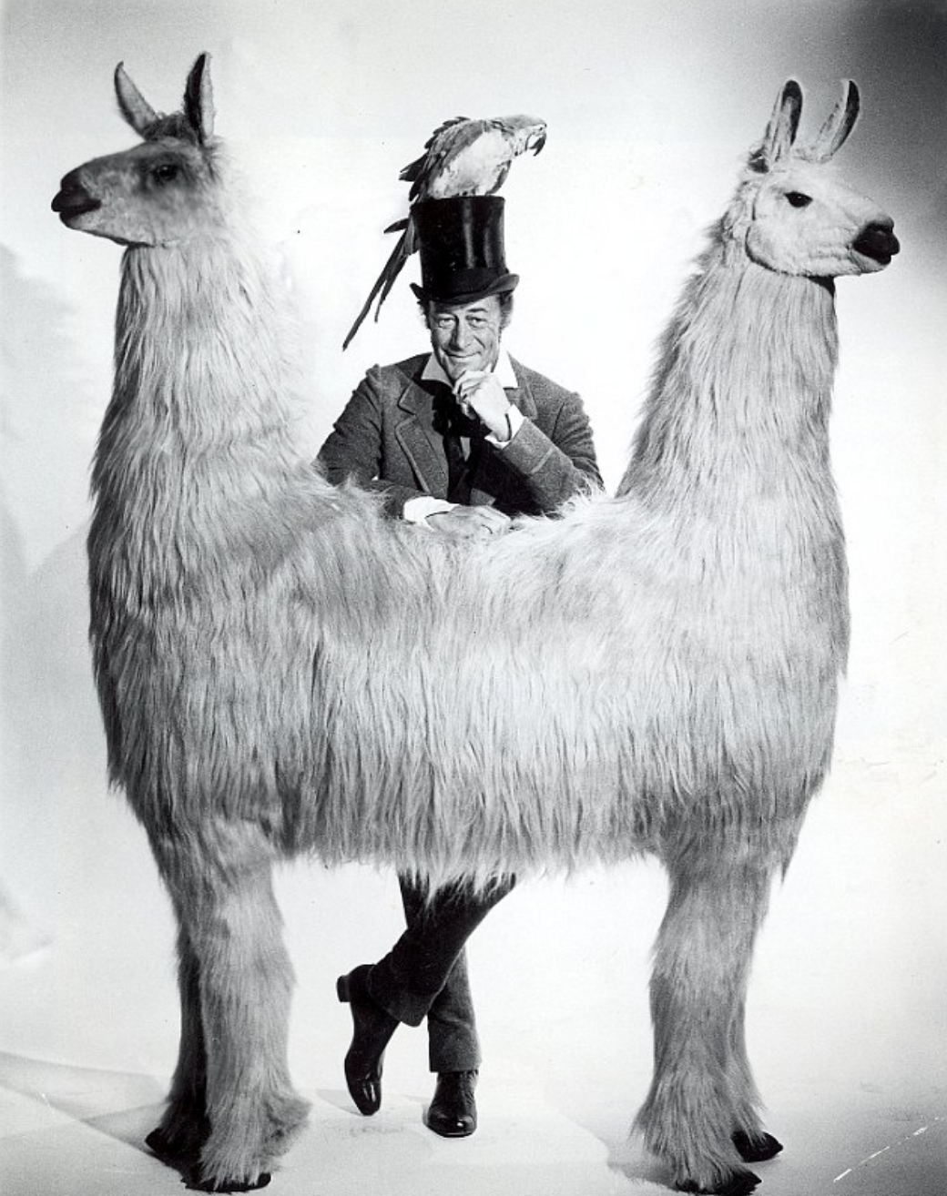 Иллюстрации Виктора Чижикова доктор Айболит