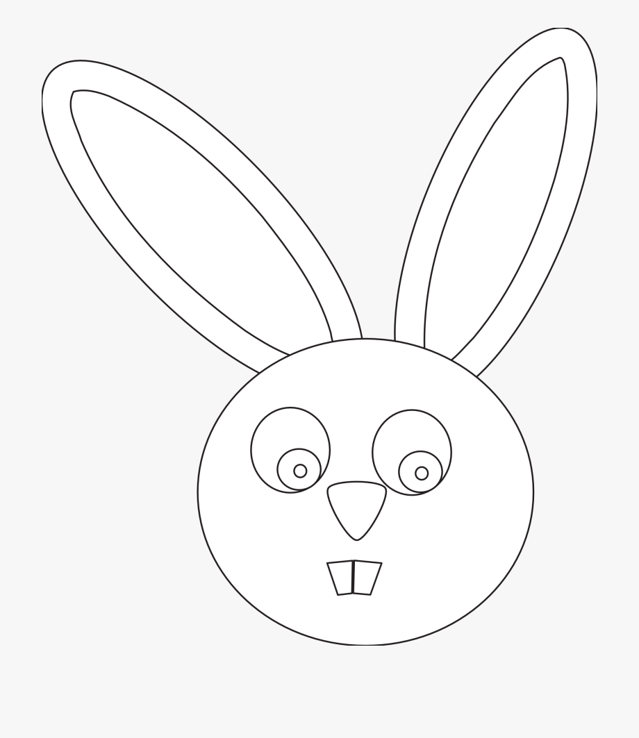 Мордочка зайца