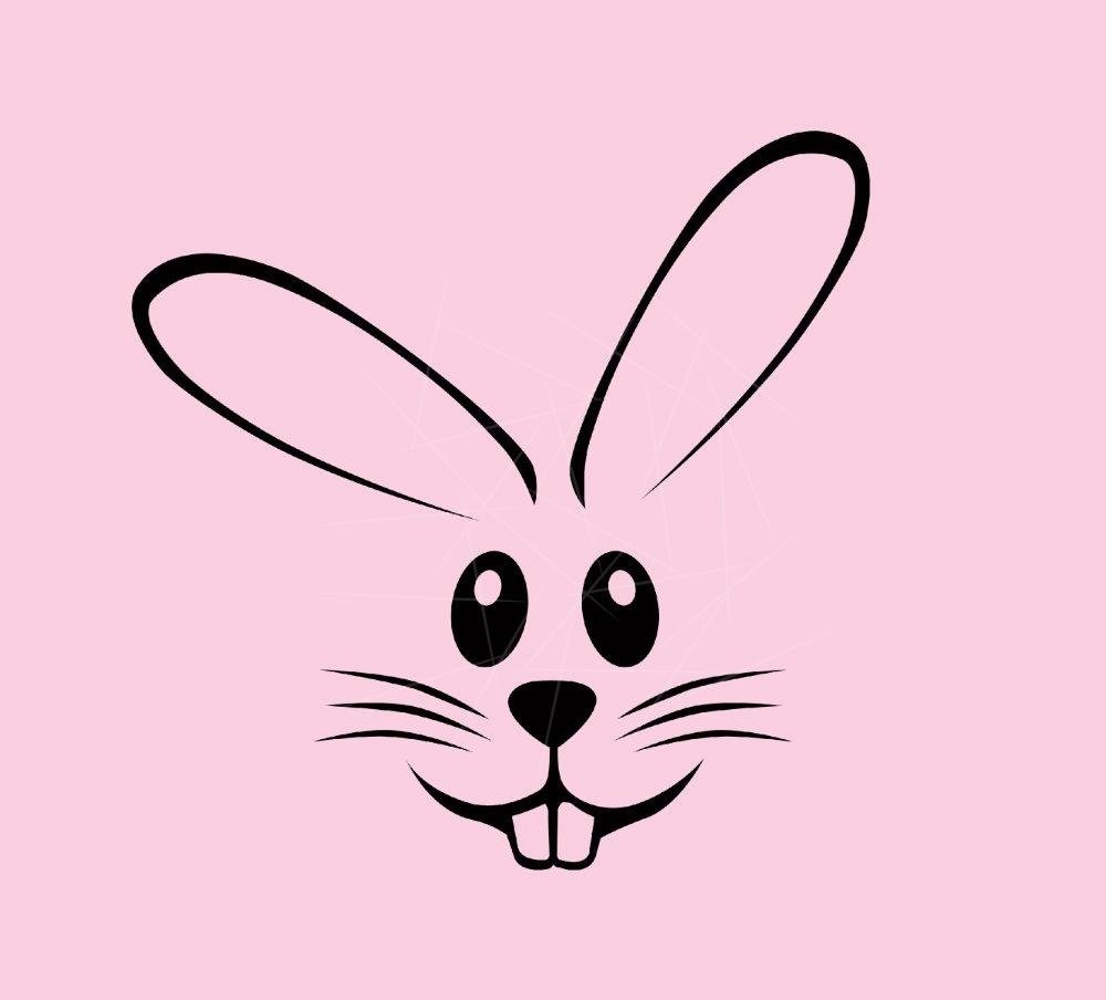 Мордочка зайца