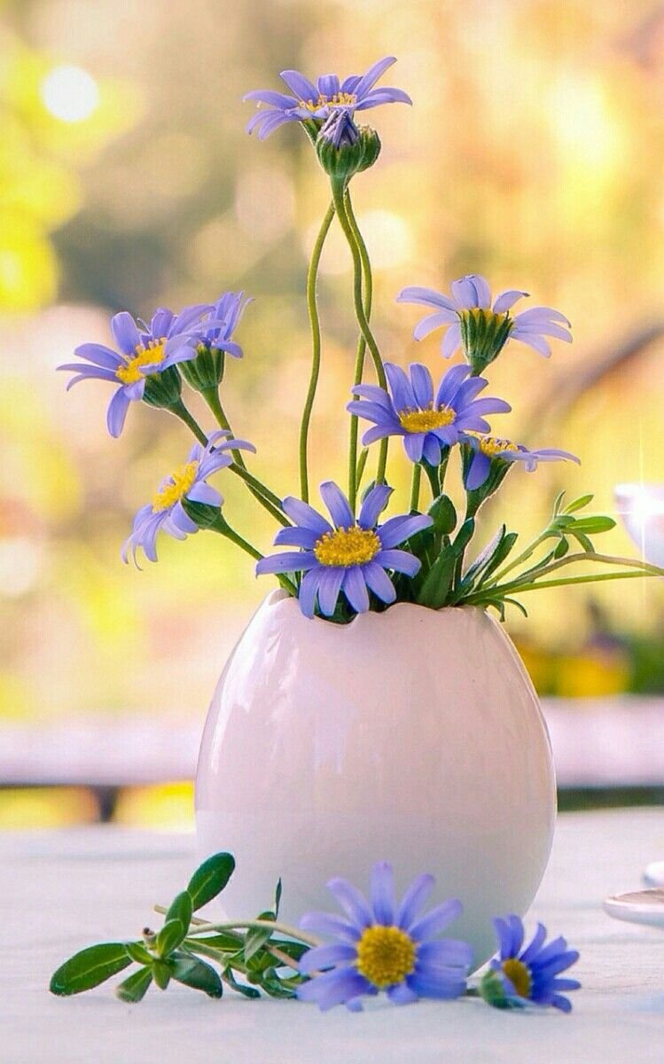 Доброе летнее утро жизнь прекрасна