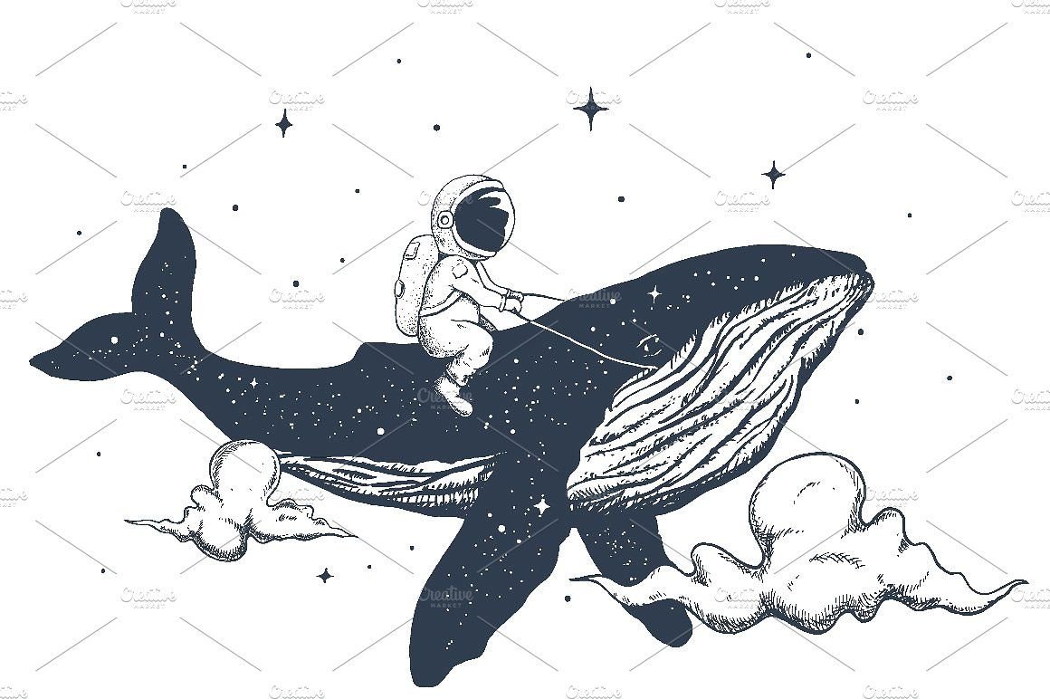 Верхом на ките