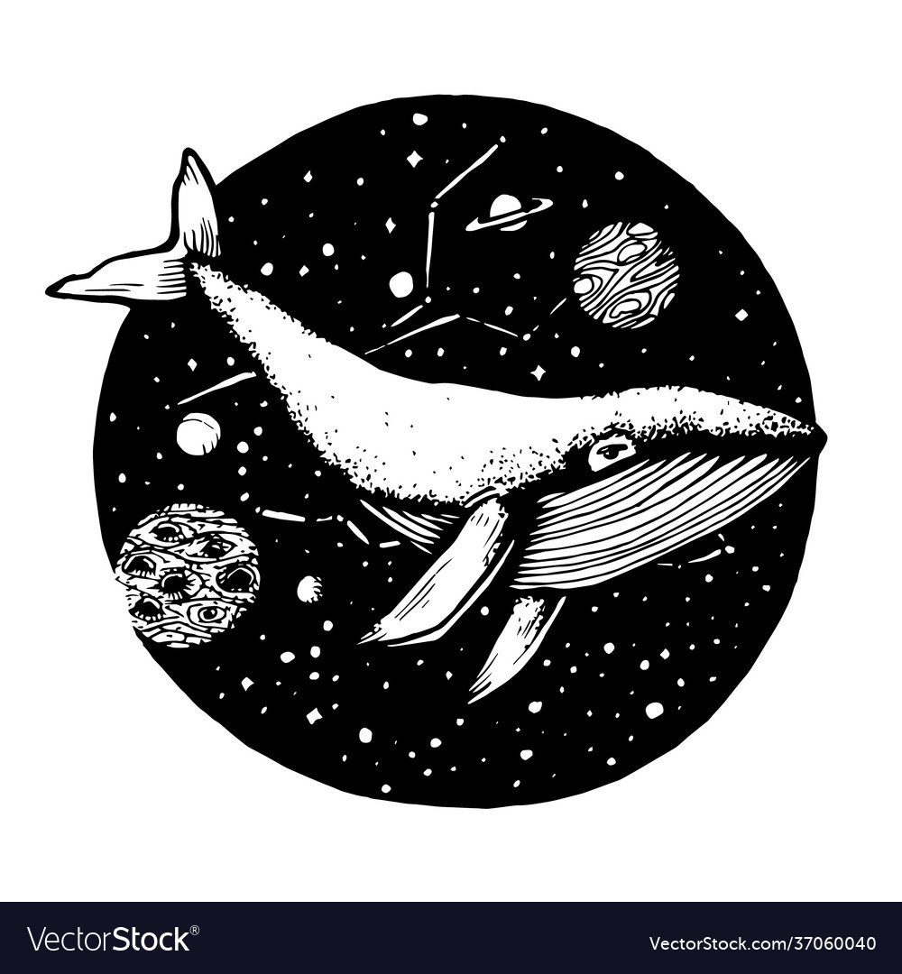 Кит черно белая Графика