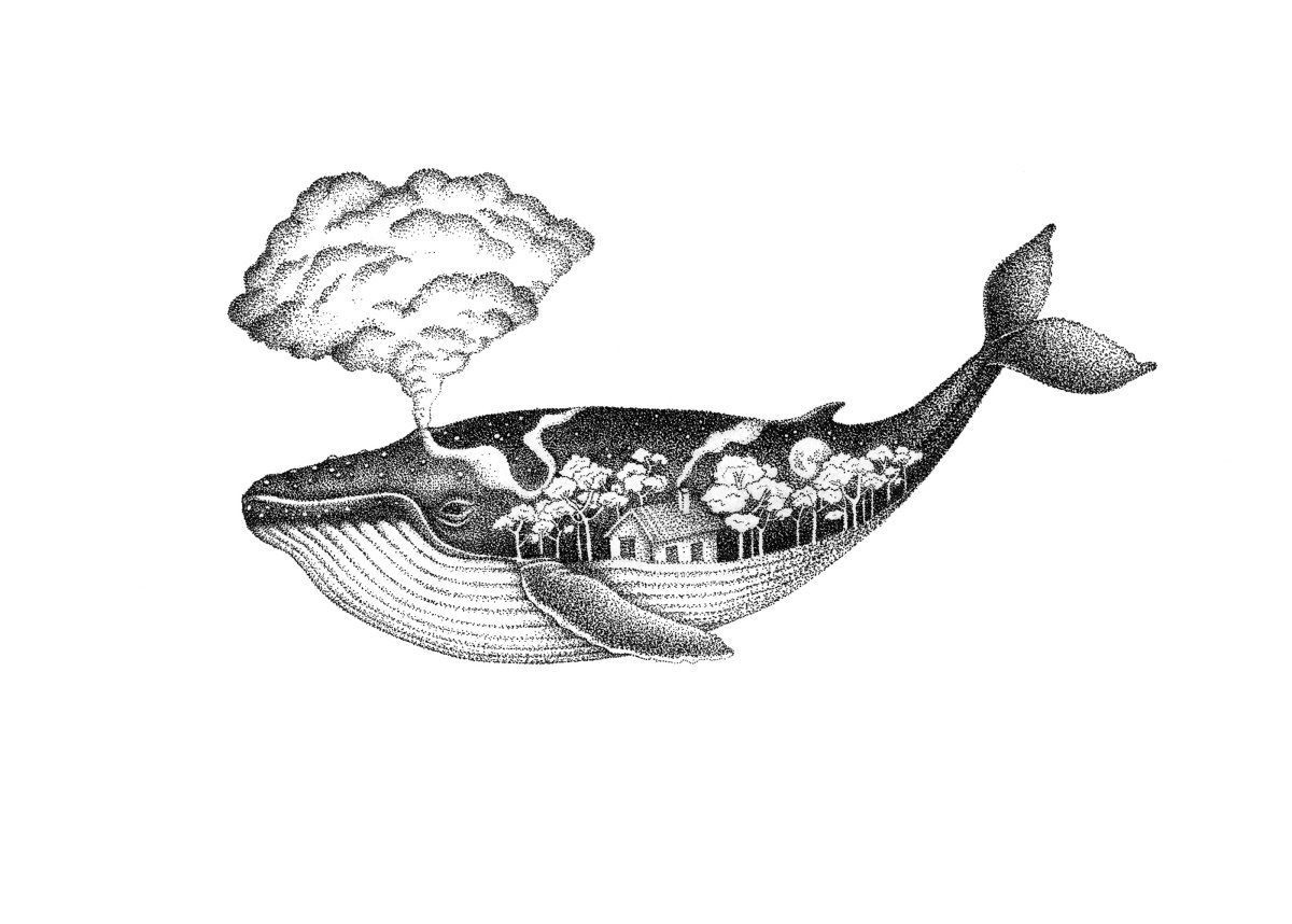 Кит рисунок