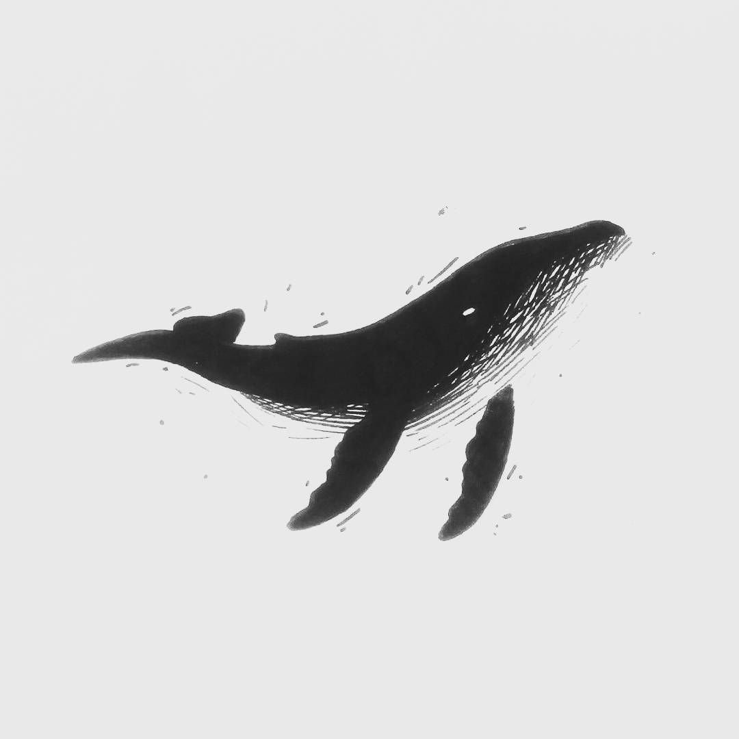 Тату кит эскиз