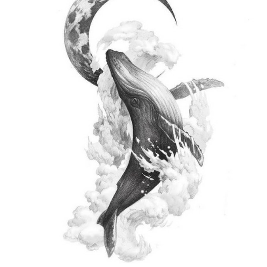 Эскизы китов