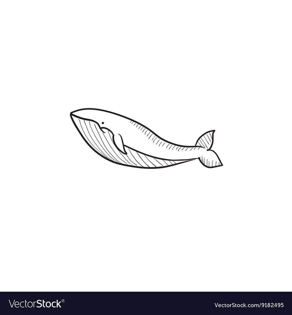 Кит контурный тату